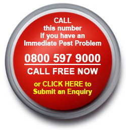 Emergency Pest Control - Click Here Now